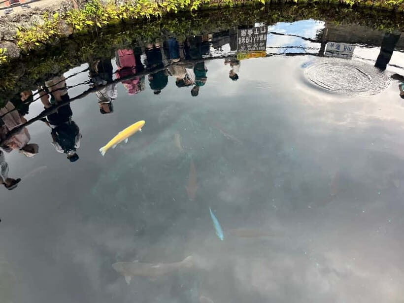 From Tokyo: Mt. Fuji 5th station and Oshino Hakkai Day Trip - Exploring the Details: What to Expect on Your Trip