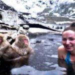 From Tokyo: Nagano Full Day Private Snow Monkey Park Tour - Discovering Nagano from Tokyo: The Ultimate Day Trip