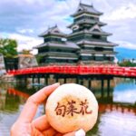 From Tokyo/Nagano : Private Snow Monkeys Park Full Day Trip - Authentic Experiences That Shine