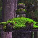 From Tokyo: Nikko Full Day Private Sightseeing Tour - Who Will Love This Tour?