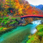From Tokyo: Nikko luxury Tour with English-speaking Guide - Why This Tour Is a Great Choice