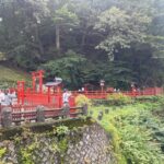 From Tokyo: Nikko private Customize Tour With English Driver - Who Should Consider This Tour?