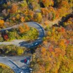 From Tokyo: Nikko Toshogu Day tour with Traditional Lunch - Insights from Travelers’ Experiences
