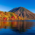 From Tokyo: Nikko Toshogu Shrine and Kegon Waterfall Tour - Final Thoughts: Who Will Love This Tour?