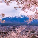From Tokyo: Private Day Trip to Mount Fuji & Fuji Five lakes - Practical Aspects and Value