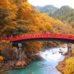 From Tokyo: Private Day Trip to Nikko and Lake Chuzenji - Detailed Breakdown of the Experience