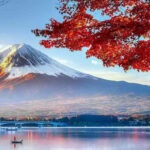 From Tokyo: Private JDM/Sports Car Tour - Mt Fuji and Hakone - Exploring the Heart of Japan’s Natural Beauty in a Sports Car