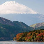 From Tokyo: Private Mt. Fuji and Hakone Tour by Car - What Makes This Tour Stand Out?