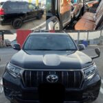 From Tokyo: Private Tour Snow Monkey Park & Zenko-ji Temple - What Makes This Tour Stand Out?