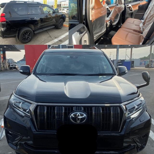 From Tokyo: Private Tour Snow Monkey Park & Zenko-ji Temple - What Makes This Tour Stand Out?