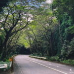 From Tokyo: Private Tour to Fuji/Hakone - Onsen, Art, Nature - An In-Depth Look at the Tour Experience