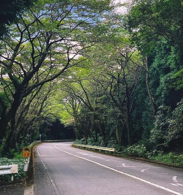 From Tokyo: Private Tour to Fuji/Hakone - Onsen, Art, Nature - An In-Depth Look at the Tour Experience