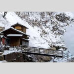 From Tokyo: Snow Monkey Park and Miso Production Day Tour - Final Thoughts