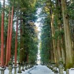 From Tokyo to Mount Fuji! Private Car Tour by Eng Speaking Driver - The Itinerary in Detail: What to Expect