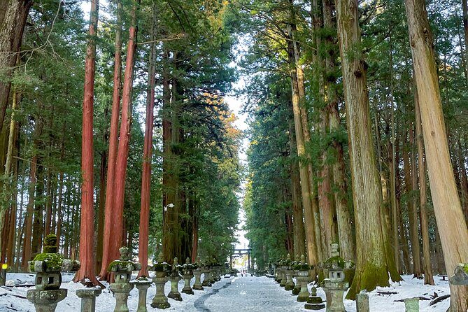 From Tokyo to Mount Fuji! Private Car Tour by Eng Speaking Driver - The Itinerary in Detail: What to Expect