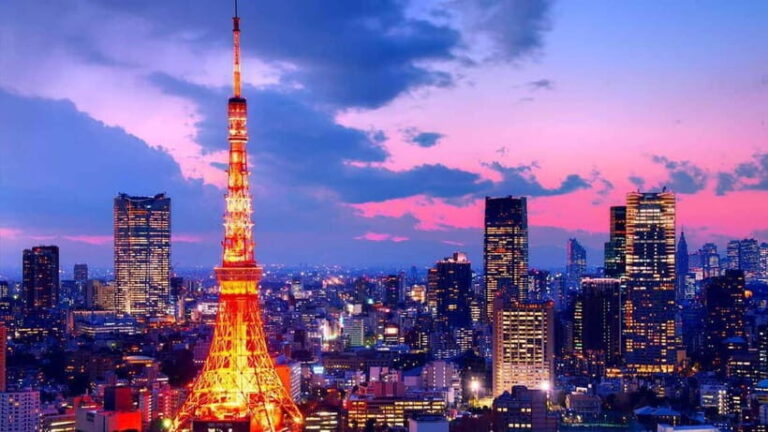 From Tokyo: Tokyo Private Customize Tour With English Driver - The Experience in Detail
