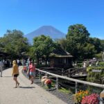 From Tokyo:Mount Fuji Private Customizable Tour With English - Why This Tour Offers Great Value