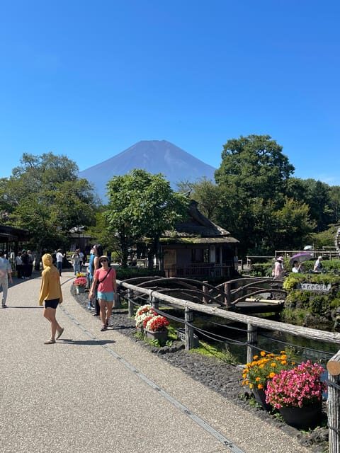 From Tokyo:Mount Fuji Private Customizable Tour With English - Why This Tour Offers Great Value