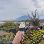 From Tokyo:Mount Fuji private day tour with English driver - Final Thoughts: Is It Worth It?