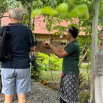From Ubud: Authentic Cooking Class Visit Traditional Market - The Location and Transportation