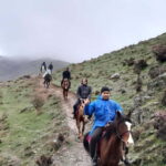 From Uhum Hayat Village: Horseback Riding Tour - Who Will Love This Experience?