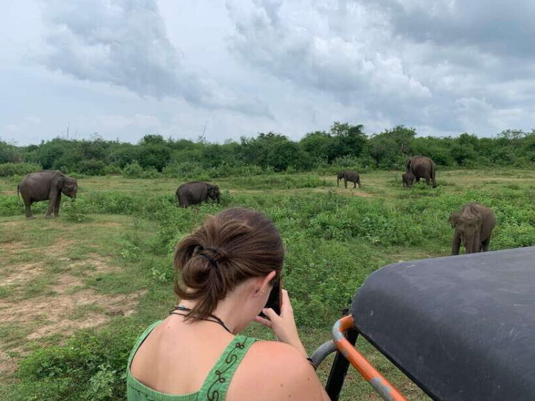 From Unawatuna: Udawalawe National Park Safari with transfer - Who Will Love This Tour?