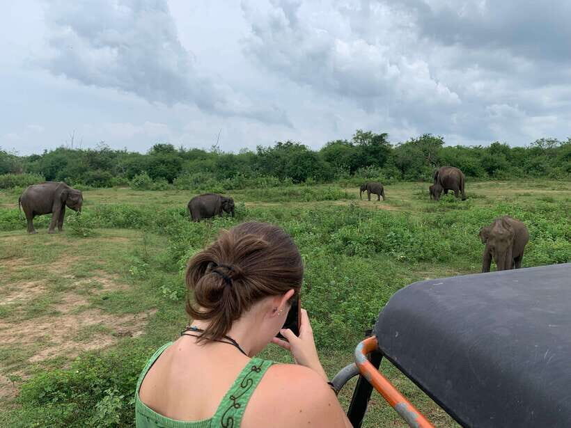 From Unawatuna: Udawalawe National Park Safari with transfer - Who Will Love This Tour?