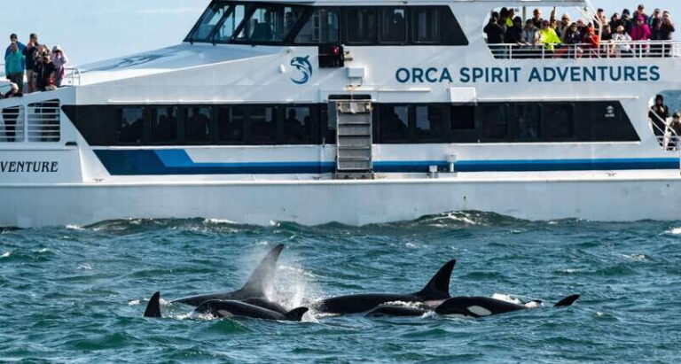 From Victoria: Whale Watching Trip on Covered Boat - The Sum Up