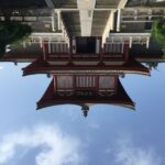 From Xi'an: Day Trip to Famen Temple & Qian Mausoleum - Who Will Love This Tour?