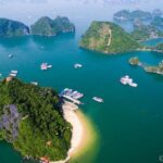 From your cruise port to Ninh Binh 1 day with our driver - Final Thoughts: Who Is This Tour For?