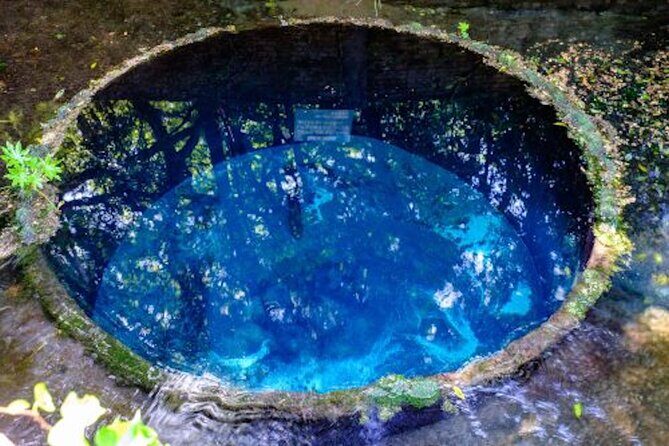 Fuji Speedway Self Drive & Mt. Fuji Private Tour pickup on LEXUS - Authentic Experiences and Practical Tips