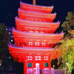 Fukuoka Cultural Walk: Castle, Shrines, Temples & Tales - A Closer Look at the Fukuoka Cultural Walk