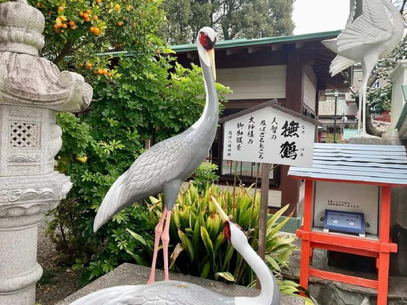 Fukuoka: Hakozaki Shrine, War Monument, & Tower Walk Tour - What Travelers Can Expect