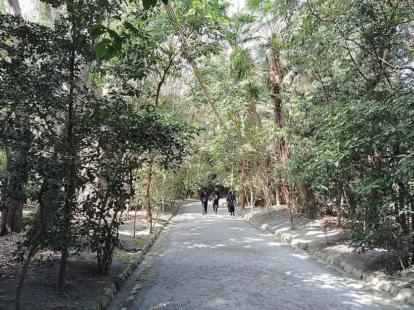 Fukuoka: Munakata Taisha Shrine Guided Tour UNESCO Site - Key Points