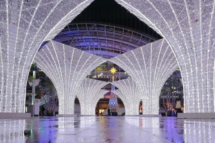 Fukuoka: Nanzoin Temple and Dazaifu Day Trip with Lunch - Who Is This Tour Best For?