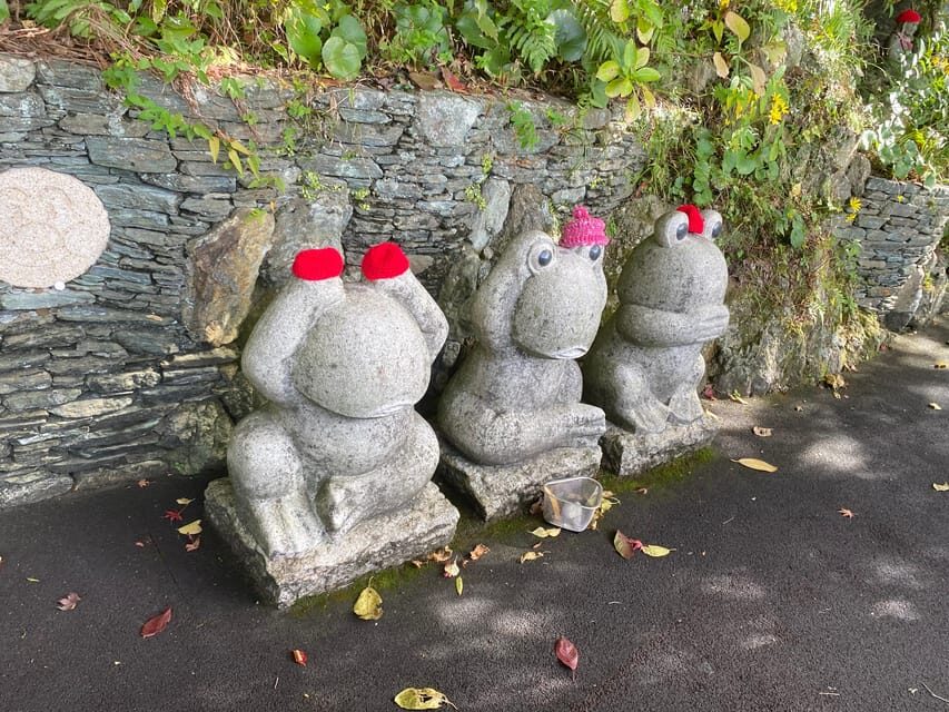 Fukuoka: Nanzoin Temple and Reclining Buddha Guided Tour - An In-Depth Look at the Tour Experience