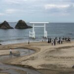 Fukuoka Nature and Cultural Sightseeing Tour - Who Should Consider This Tour?