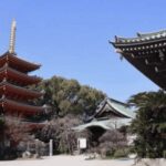 Fukuoka Private Custom Tour with Local Guide - A Detailed Look at the Fukuoka Private Custom Tour