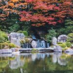 Fukuoka Private Customizable Half Day Tour - A Detailed Breakdown of the Itinerary and Stops