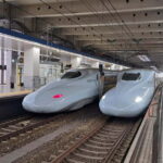 Fukuoka: Round-Trip Shinkansen Tour to Kumamoto Castle - Practical Details and Considerations