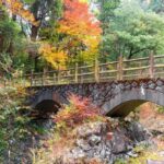 Fukuoka: Takachiho Gorge and Shrine Private Day Trip - Discovering Takachiho Gorge and Shrine: What to Expect