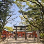 Fukuokas Sacred Path: Temples, History & Culture - A Deep Dive into the Experience