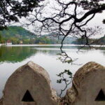 Full Coverage Kandy City Day Tour - Who Should Consider This Tour?