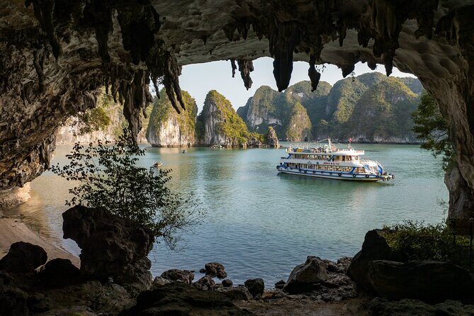 Full-day Activity Ha Long Bay of Vietnam from Ninh Binh - Who Would Enjoy This Tour?