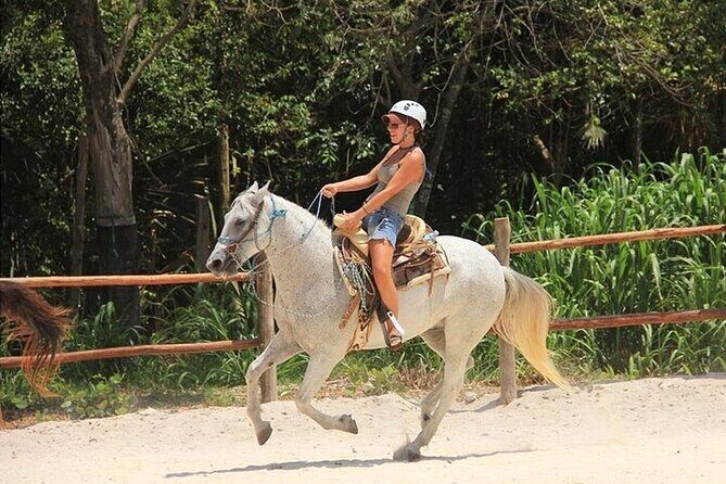 Full Day Adventure: Horses , ATV, Ziplines & Cenote w/Lunch - Who Should Consider This Tour?