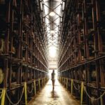 Full-Day Appleton Rum, YS Falls and Pelican Bar Private Tour - Who Will Love This Tour?