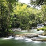 Full Day Appleton Rum YS Falls & Pelican Bar Group Tour - FAQs