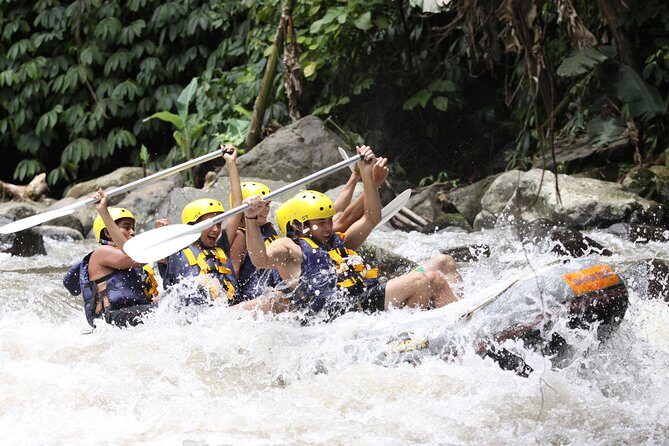 Full-Day Ayung River White Water Rafting and Ubud Tour - Who Would Love This Tour