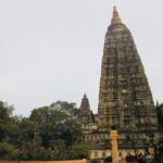 Full-Day Bodh Gaya Private Tour from Patna - Who Should Consider This Tour?