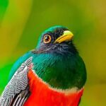 Full Day Bromeliad Forest Tour from Oaxaca - Final Thoughts